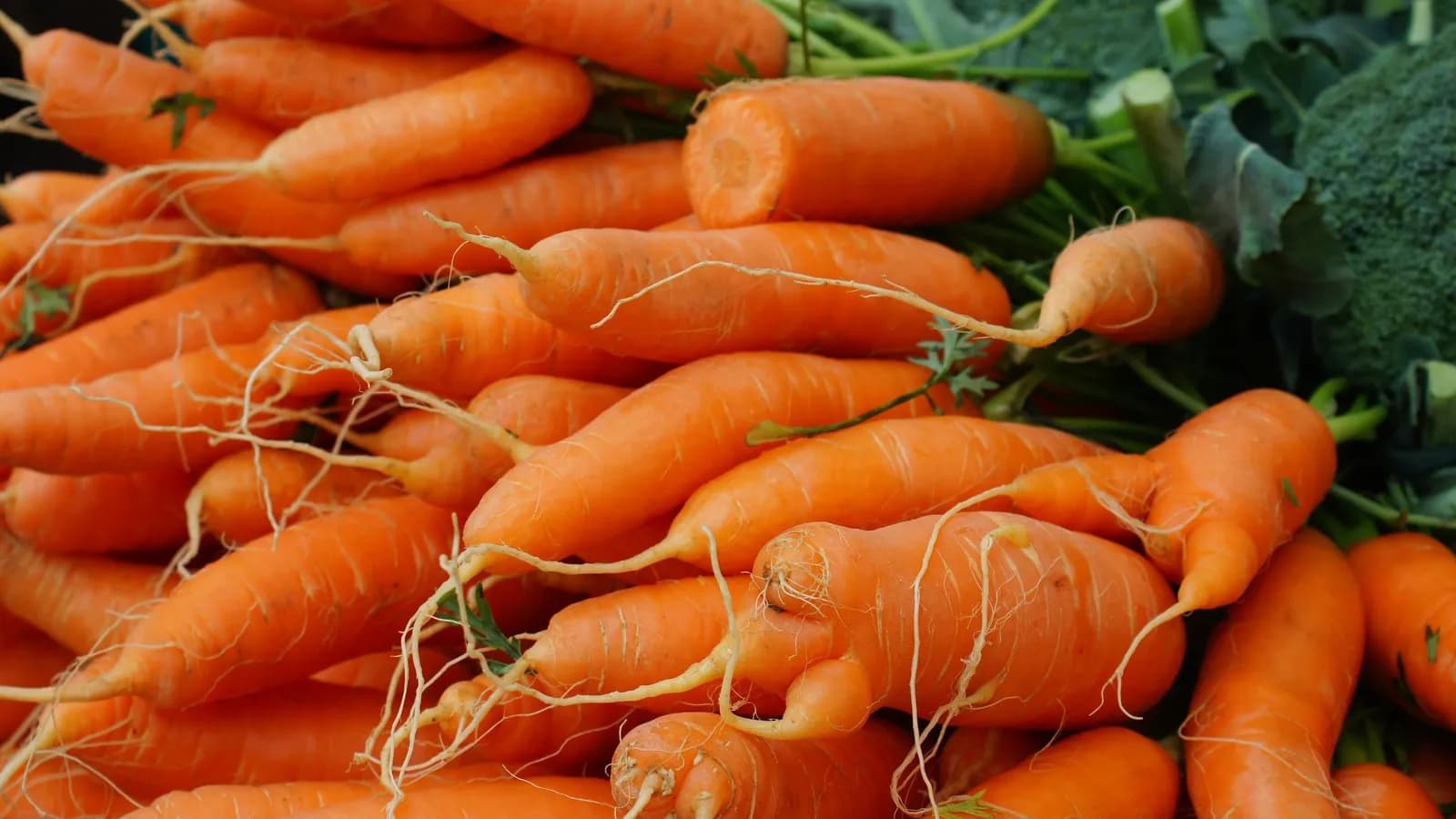 Bunches of carrots piled at a market with their green tops still attached, which is how you have to buy them to make this
