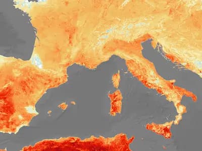 People seeking shade and drinking water during an extreme heatwave in a French city
