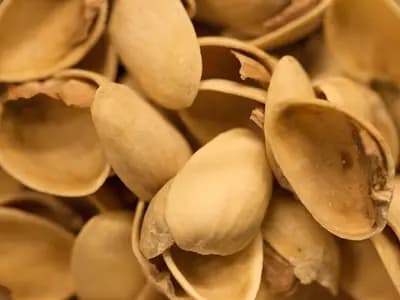 A pile of shelled green pistachios beside a jar of thick pistachio cream paste with a spoon resting in it