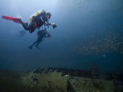 A marine researcher in scuba gear conducting an underwater reef survey with a slate and camera