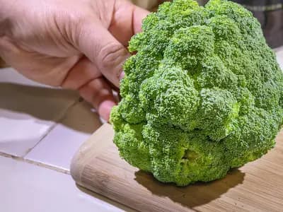 A head of broccoli on a wooden board with a hand steadying it, the thick main stalk still attached below the florets