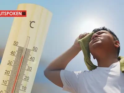 Summer’s silent killer: What to Do in the Event of a Heat Wave?