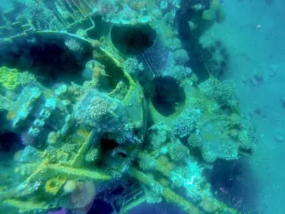 A diver approaching a sunken military vehicle on a sandy seabed