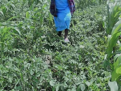 Women farmers discussing finances and climate resilience in a rural community