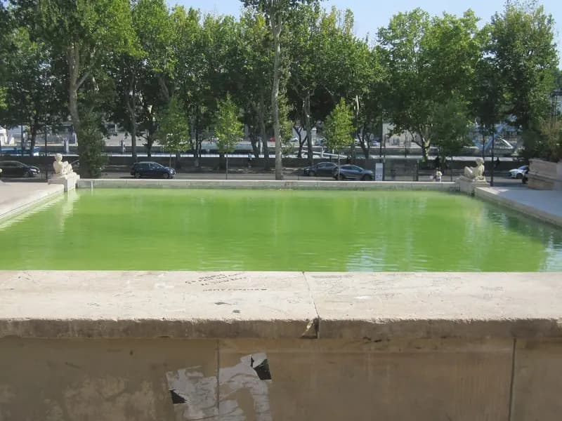 The Palais de Tokyo in Paris, the venue where Drew Henry showed his debut Courreges collection, photographed in July 2022