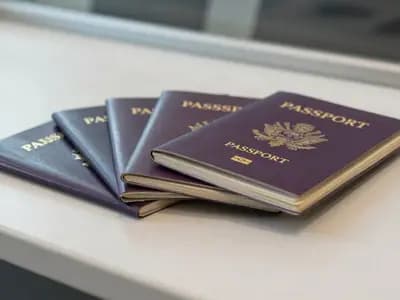 A fan of plain burgundy passports on an airport counter