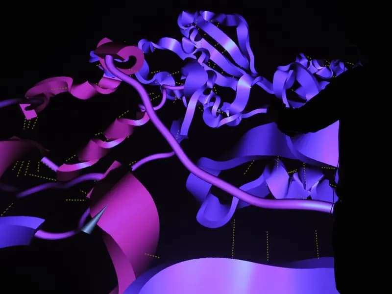 A visualisation of a protein's three-dimensional structure, illustrative of the kind of AI-designed proteins described in this report and not one of the specific molecules named, photographed in October 2010