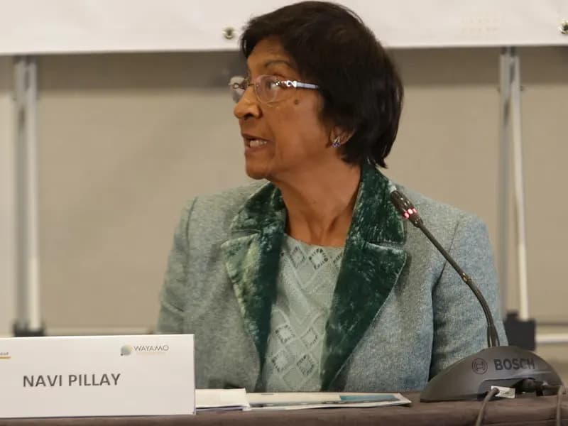 Navi Pillay speaking at a conference table in South Africa, photographed in August 2018, a file photograph and not from the Nobel announcement