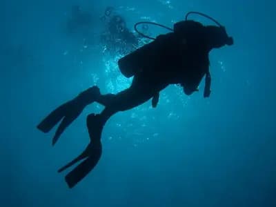 A single scuba diver in silhouette against bright water above, with nobody else in the frame