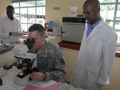 hepatitis laboratory health testing