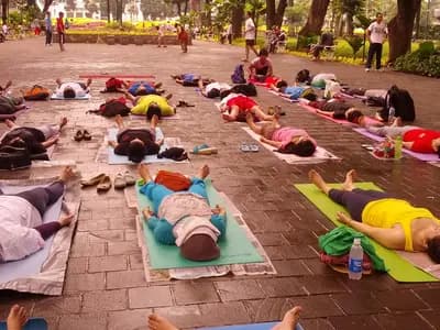 A group lying flat on their backs on mats in savasana during an outdoor session, which is the posture yoga nidra is practised in